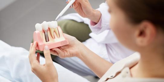 Zahnärztin erklärt Patientin die Funktion eines Implantats anhand eines Modells